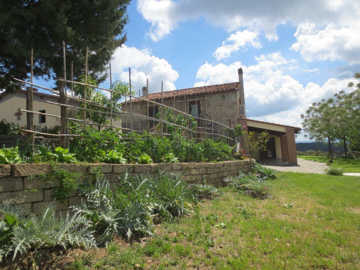רוקסטראדה Agriturismo L'Alba מראה חיצוני תמונה